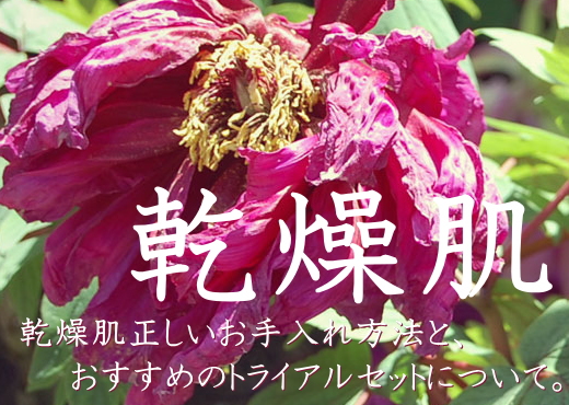 乾燥肌の正しいお手入れ方法